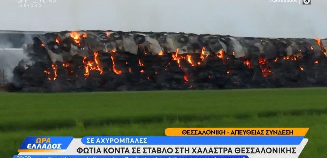 Θεσσαλονίκη: Υπό έλεγχο η φωτιά σε κτηνοτροφική μονάδα στη Χαλάστρα (βίντεο)