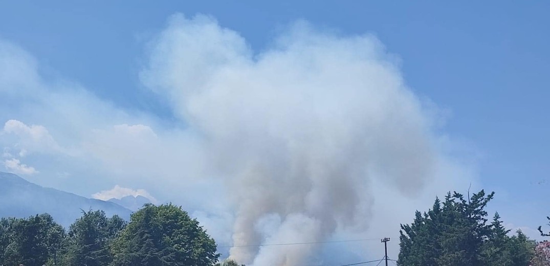 Πιερία: Υπό έλεγχο η φωτιά στην Πλάκα Λιτοχώρου