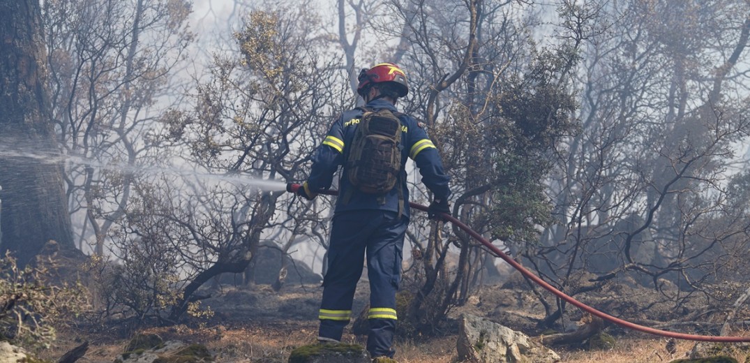 Θεσσαλονίκη: Άμεσα τέθηκε υπό έλεγχο φωτιά σε άλσος