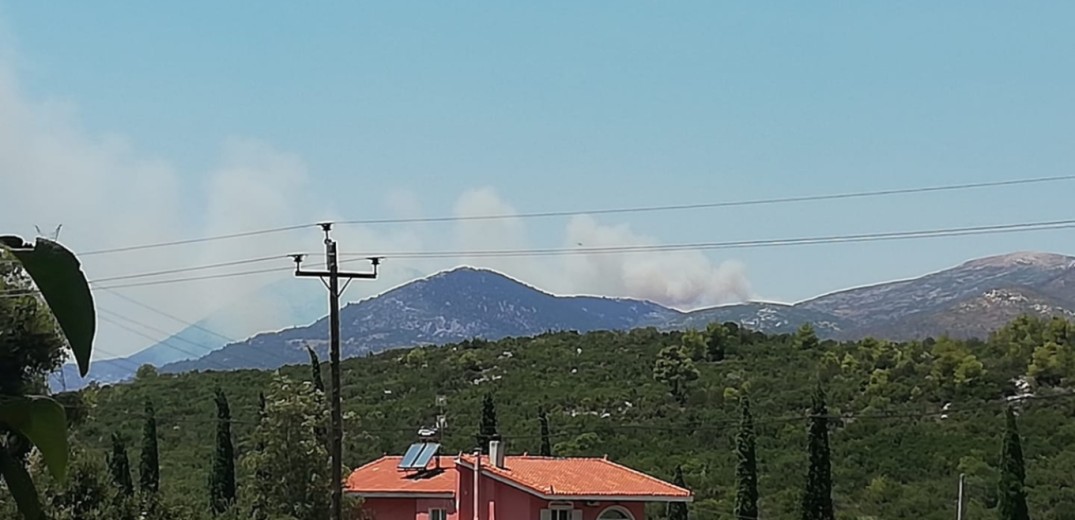 Φωτιά σε δασική έκταση στις Ερυθρές Αττικής - Εκκενώθηκε παιδική κατασκήνωση (βίντεο)