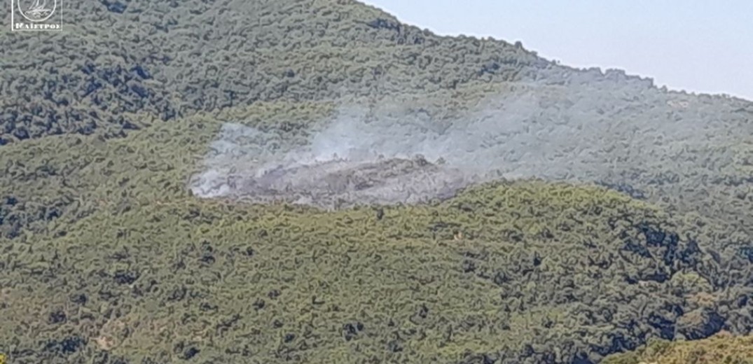 Ακόμα δύο φωτιές σε Εύβοια και Ναύπλιο - Στη μάχη και εναέρια μέσα