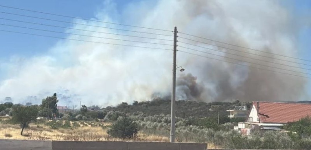 Αττική: Διαστάσεις παίρνει η φωτιά στην Αγία Μαρίνα στο Κορωπί - Εκκενώνονται περιοχές