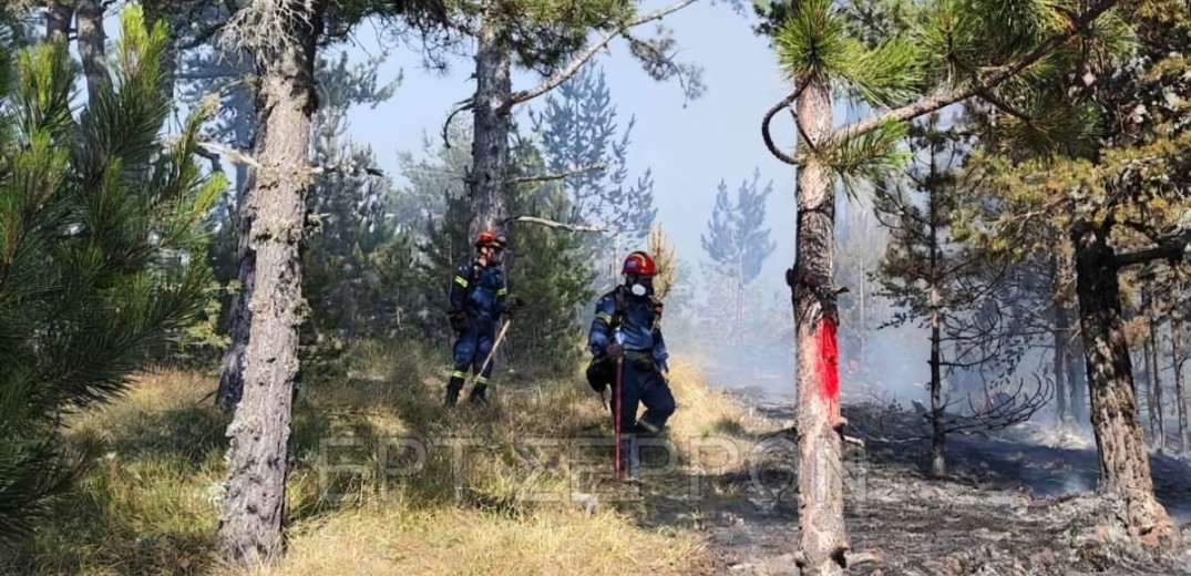 Υπό έλεγχο η πυρκαγιά σε αγροτική έκταση στο Κορωπί