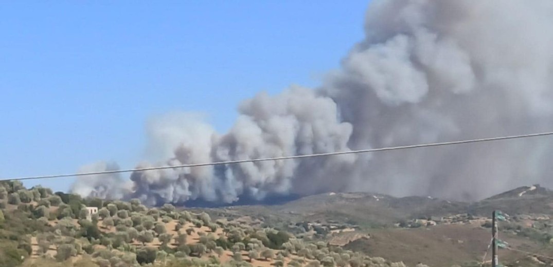 Πυροσβεστική: Εκδηλώθηκαν 60 αγροτοδασικές φωτιές το τελευταίο 24ωρο σε όλη τη χώρα - Πύρινα μέτωπα σε Βοιωτία, Ιωάννινα και Φθιώτιδα