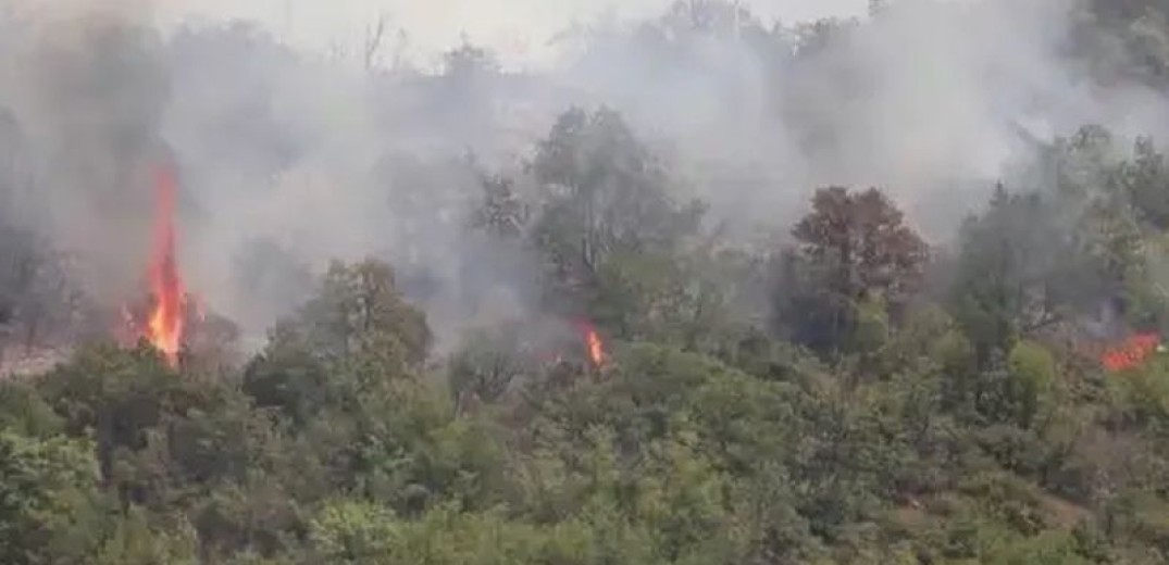 Πύρινος εφιάλτης στη Βόρεια Μακεδονία: Ένας νεκρός, καμμένα σπίτια και εκκενώσεις χωριών (βίντεο)