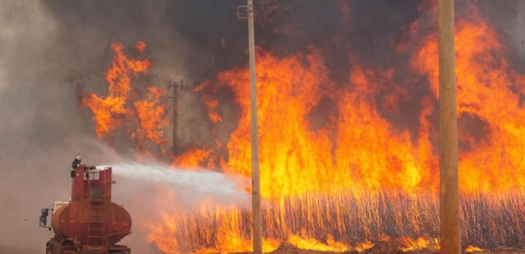 Υπό έλεγχο οι πυρκαγιές στη Βραζιλία - Στάχτη εκατοντάδες χιλιάδες στρέμματα βλάστησης