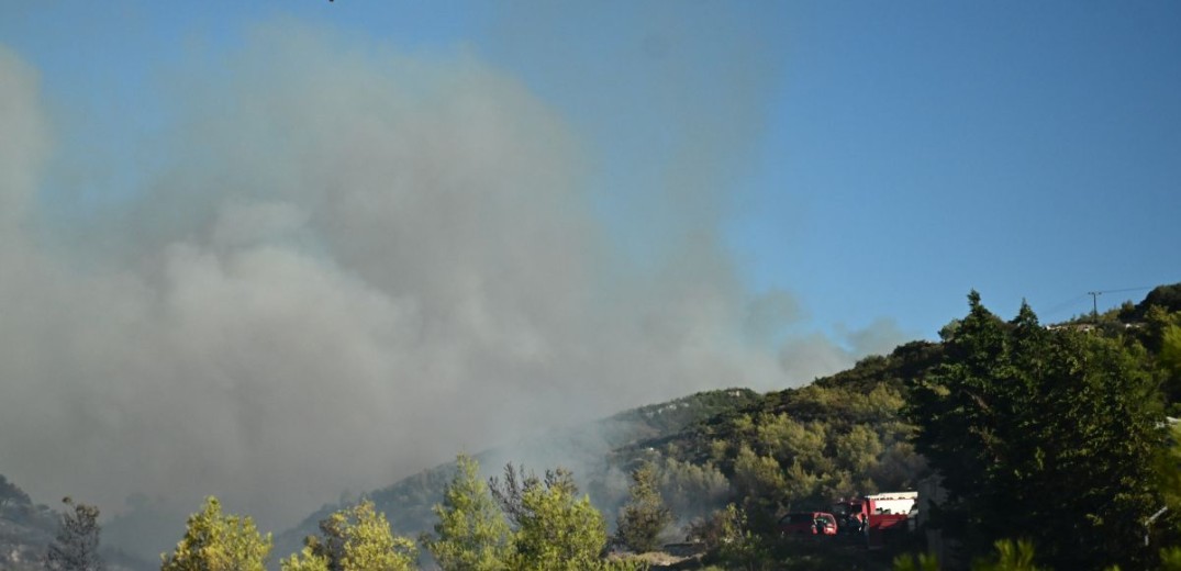 Πυρκαγιά σε χαμηλή βλάστηση στα Καλύβια Θορικού Αττικής