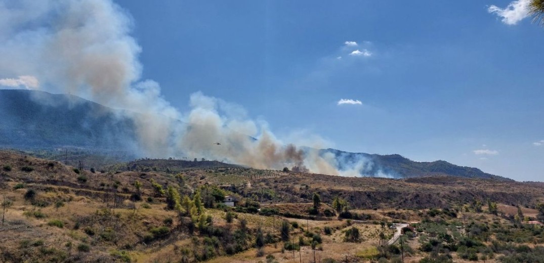 Σε ύφεση η φωτιά Αιγειρούσες στα Μέγαρα