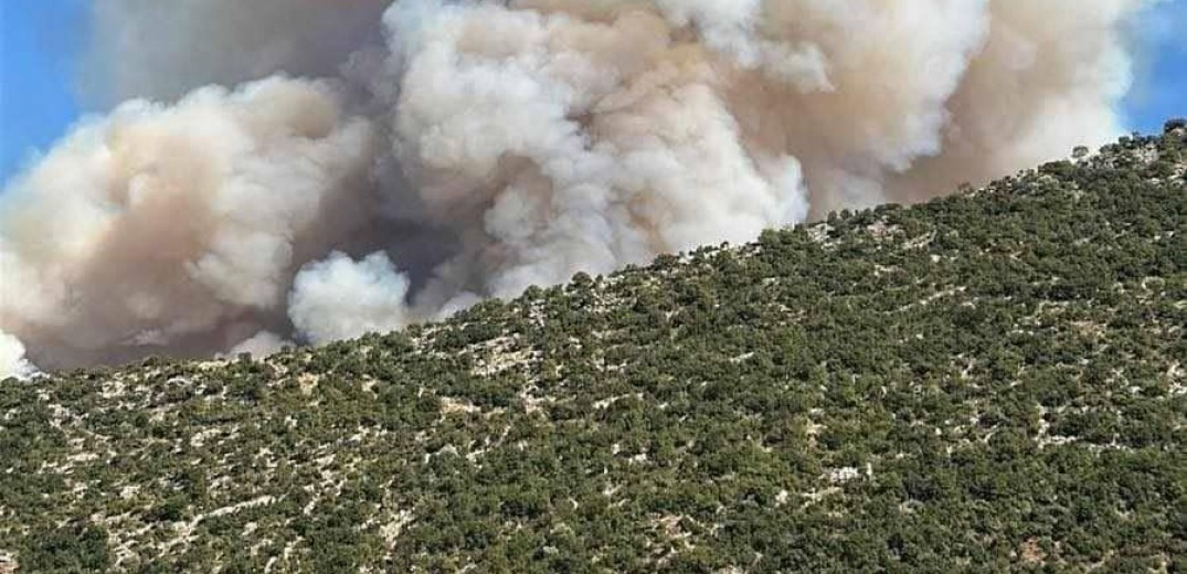 Σε ύφεση η φωτιά στον Παλαμπά Θεσπρωτίας