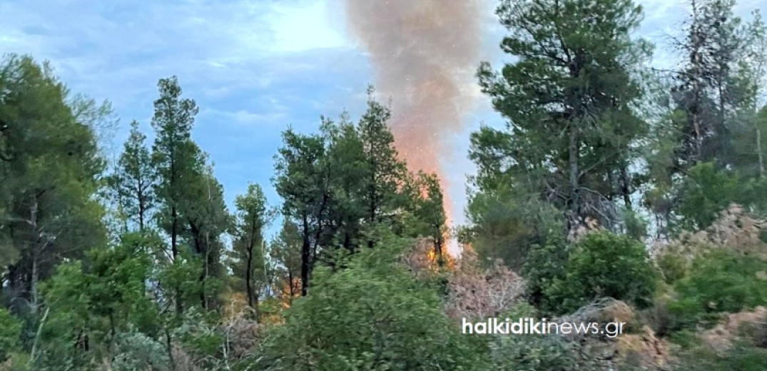 Χαλκιδική: Χωρίς ενεργό μέτωπο η φωτιά στο Άγιο Όρος - Αποχώρησαν τα 2 ελικόπτερα