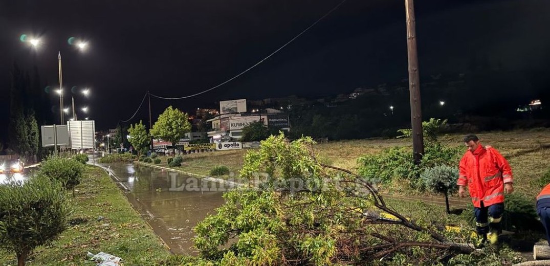 Ξερίζωσε δέντρα το μπουρίνι στη Λαμία - Πλημμύρισαν υπόγεια (βίντεο, φωτ.)