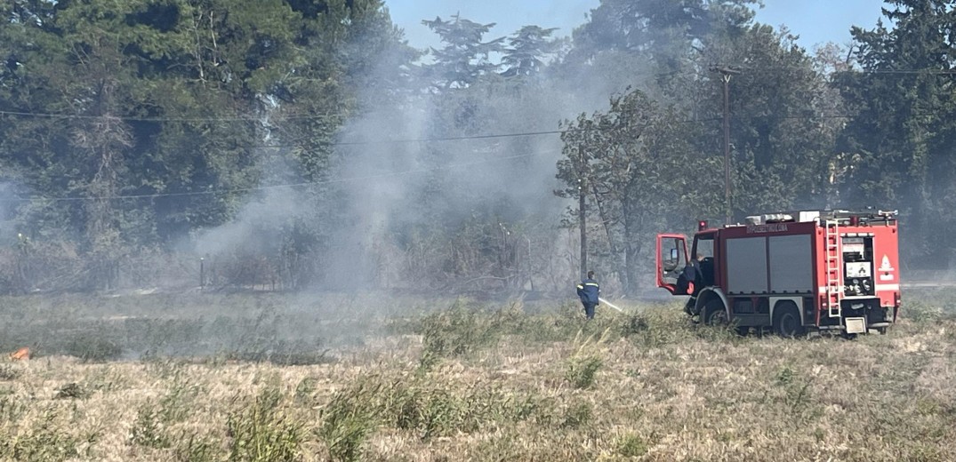 Υπό πλήρη έλεγχο οι φωτιές σε Χαλκιδική και Κιλκίς