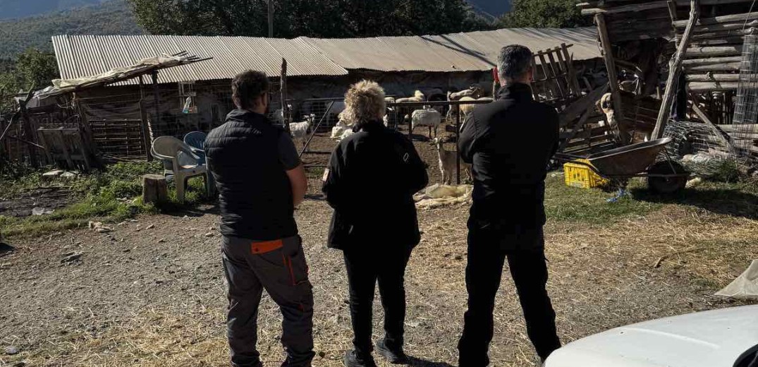 Κατερίνη: Έλεγχοι και πρόστιμα σε κτηνοτροφικές μονάδες για παραβάσεις που αφορούν τους Σκύλους Φύλαξης Ποιμνίων