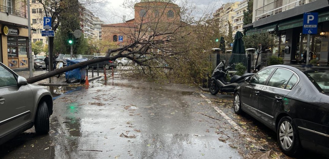 Κακοκαιρία «Bora»: Απεγκλωβισμοί και ζημιές σε υποδομές σε Θεσσαλονίκη και Χαλκιδική - Νέα μηνύματα από το 112