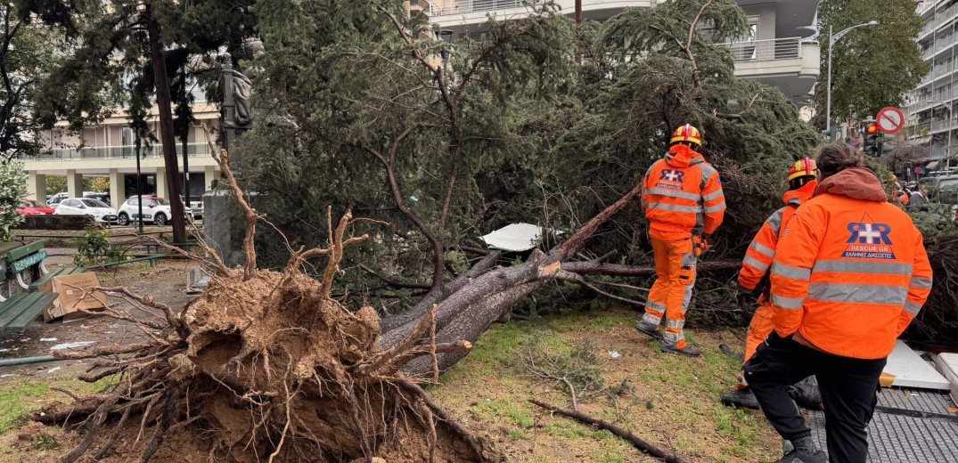 «Καμπανάκι» Τσατραφύλλια: Η κακοκαιρία Bora δεν έχει τελειώσει -Αναμένονται δύο νέα κύματα