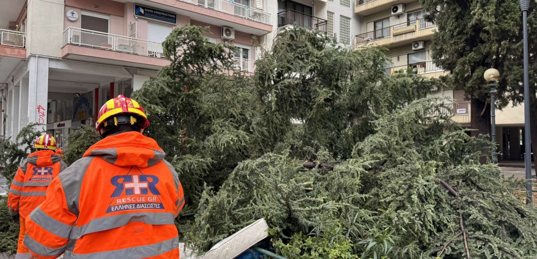 Κι όμως τα καταφέραμε. Του Μιχάλη Αλεξανδρίδη