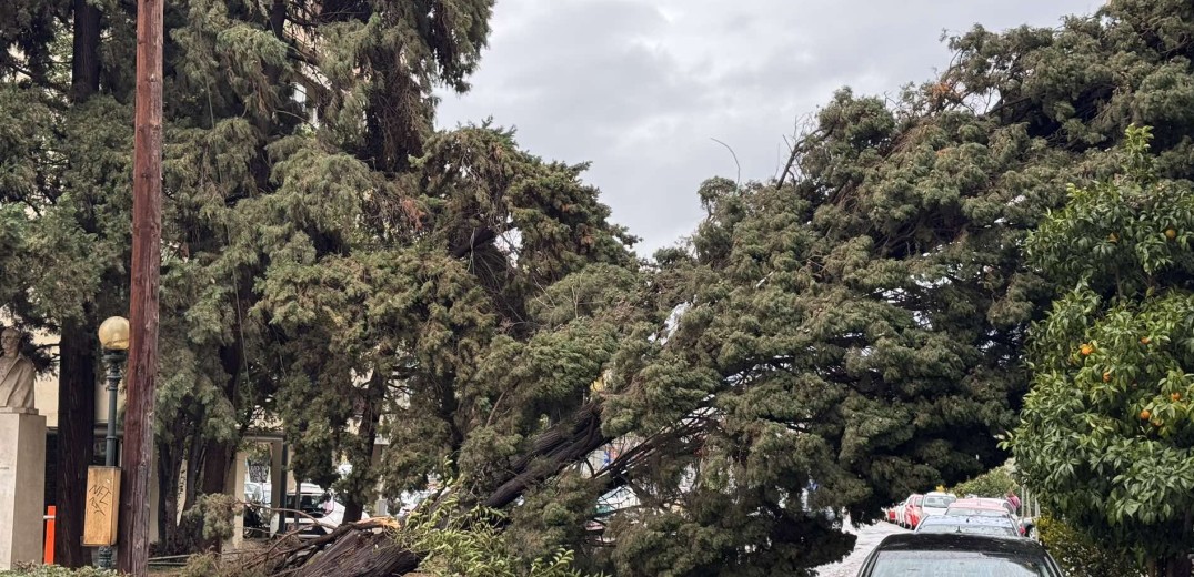 Πανόραμα Θεσσαλονίκης: Χωρίς ρεύμα και νερό για τρίτο 24ωρο - Μήνυση κατά του ΔΕΔΔΗΕ από το δήμο