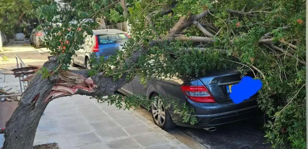 Κύπρος: Ζημιές σε ΙΧ από πτώσεις δέντρων εξαιτίας των ισχυρών ανέμων (φωτ.)