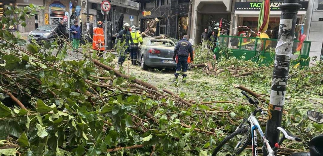 Θεσσαλονίκη: Απομακρύνονται πεσμένα δέντρα από 200 σημεία