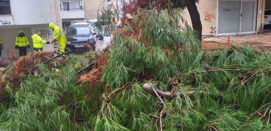 Θεσσαλονίκη: Η κακοκαιρία δεν άφησε «πληγές» στον Δήμο Κορδελιού - Ευόσμου