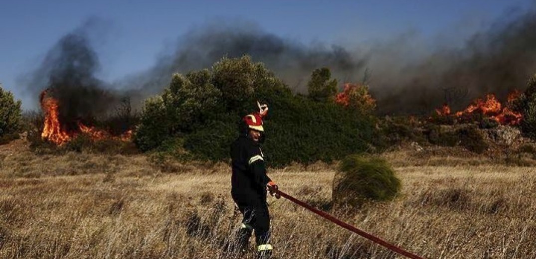 Μεγάλη φωτιά στη Bοιωτία - Καίγονται σπίτια στο Σαράντη, οι κάτοικοι αρνούνται να εκκενώσουν την περιοχή - Δείτε βίντεο