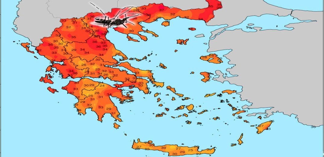 Η υπερβολική ζέστη… εξάντλησε και τα κουνούπια