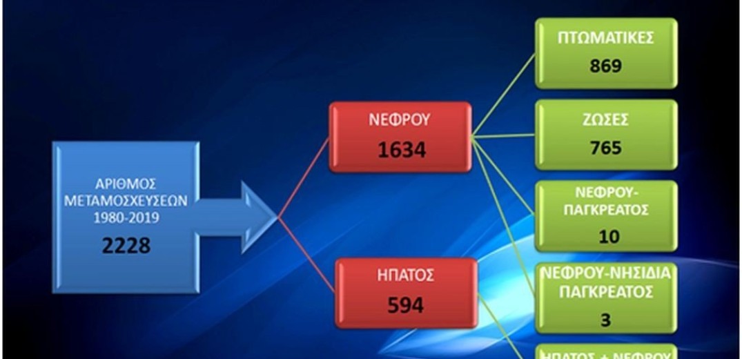 Αποκλειστικό: Mε λουκέτο κινδυνεύουν δύο προγράμματα μεταμοσχεύσεων σε Ιπποκράτειο και Παπανικολάου