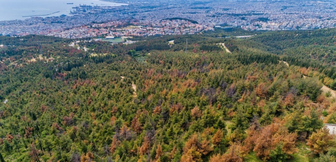 Καιρός: Εκρηκτικό κοκτέιλ με μελτέμια και 40άρια - Δύσκολο 48ωρο για εκδήλωση πυρκαγιών