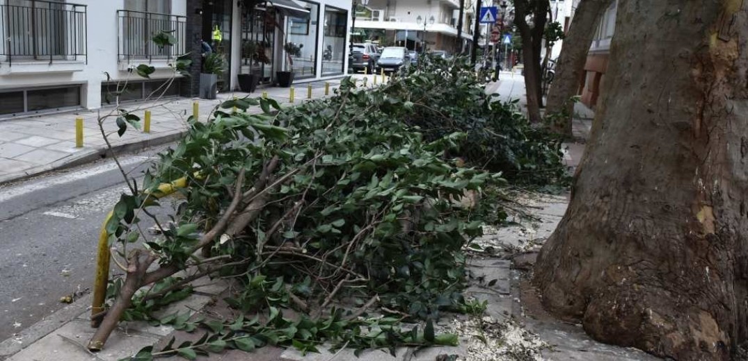 Τραυματίστηκε από πτώση κλαδιών εργαζόμενη του δήμου Θεσσαλονίκης