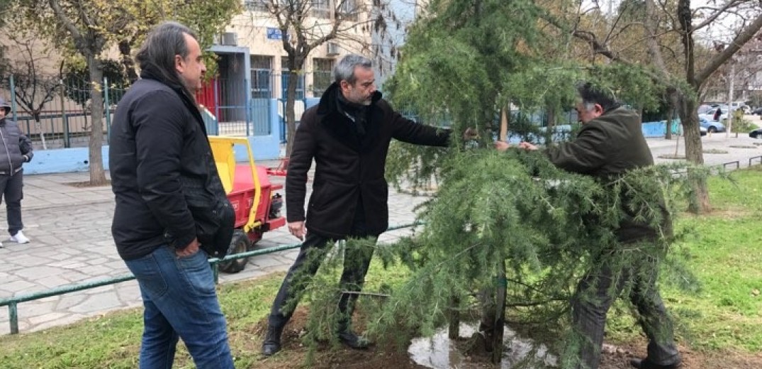 Με έναν κέδρο Ιμαλαΐων στέλνει μήνυμα ελπίδας για την νέα χρονιά ο δήμαρχος Θεσσαλονίκης (Φωτ., Βίντεο)