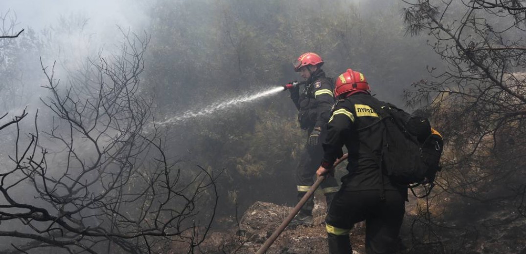 Αύξηση 180% στις καμένες εκτάσεις στην Ελλάδα το διάστημα Φεβρουάριος-Αύγουστος