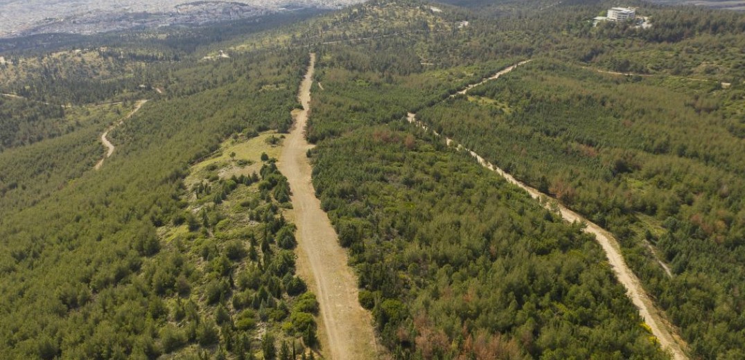 Θεσσαλονίκη: Παράταση απαγόρευσης της κυκλοφορίας στο Σέιχ Σου