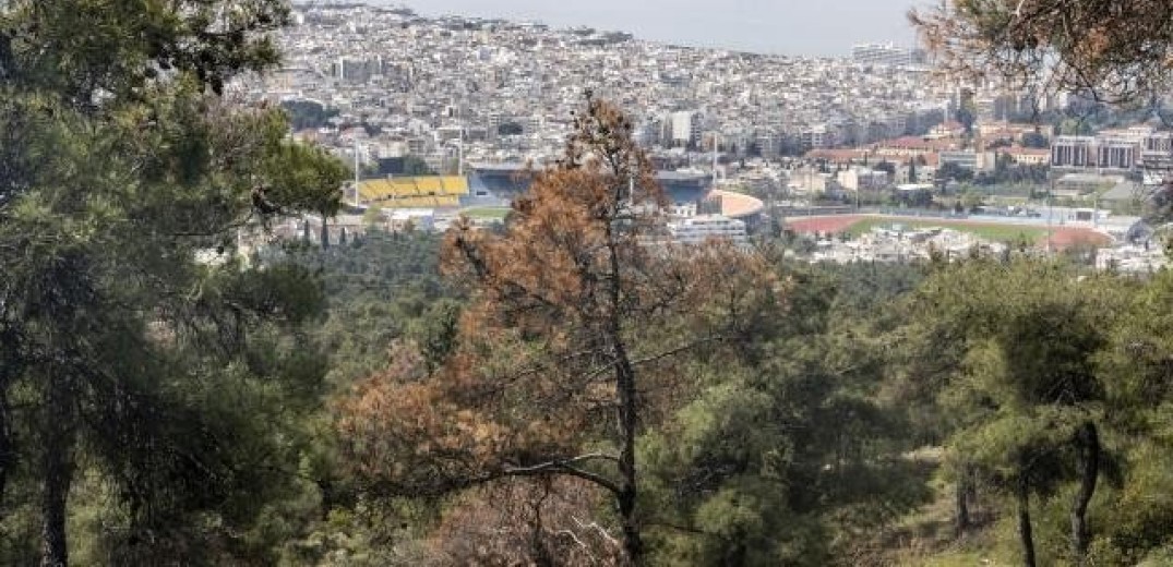 Για την προστασία του Σέιχ Σου…