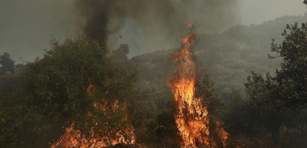 Υπό έλεγχο η νέα φωτιά στην Κύπρο