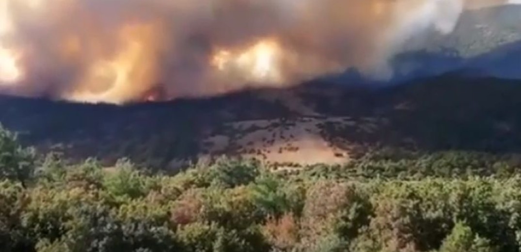 Έβρος: Λεπτοκαρυά, Δαδιά και Τρεις Βρύσες τα ενεργά μέτωπα