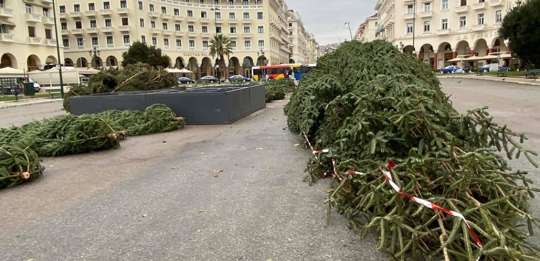 Θεσσαλονίκη: Έφτασε το τεράστιο χριστουγεννιάτικο έλατο στην Αριστοτέλους (Φωτ.)