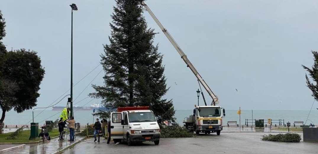 Δέντρα, στολίδια, φωτισμός - Το πνεύμα των Χριστουγέννων έχει ανοσία στον κορονοϊό (βίντεο)