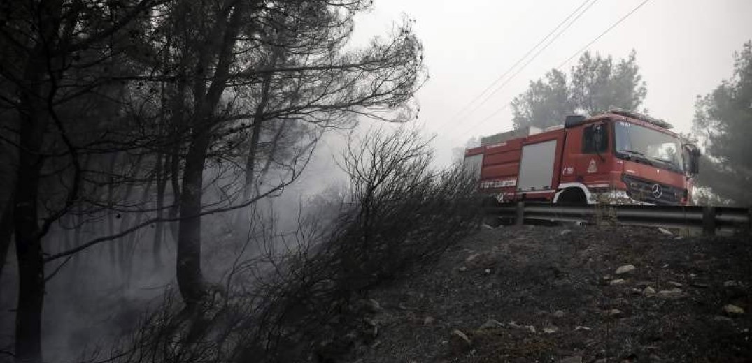  Καθαρίζεται η περιοχή της Σάρτης που επλήγη από τη φωτιά