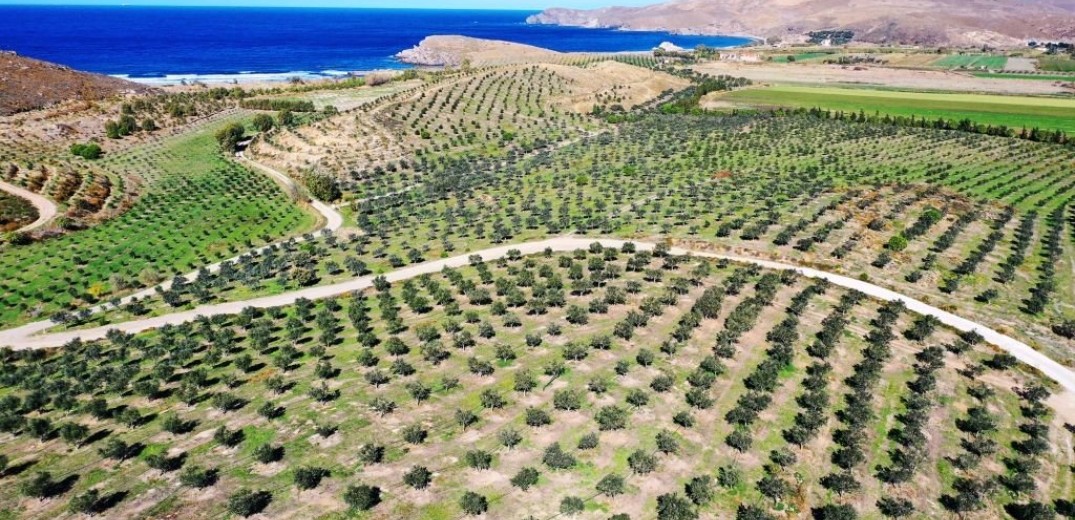 30η Agrotica: Η κλιματική αλλαγή περιορίζει τη δυνατότητα της γεωργίας να θρέψει τους πληθυσμούς;