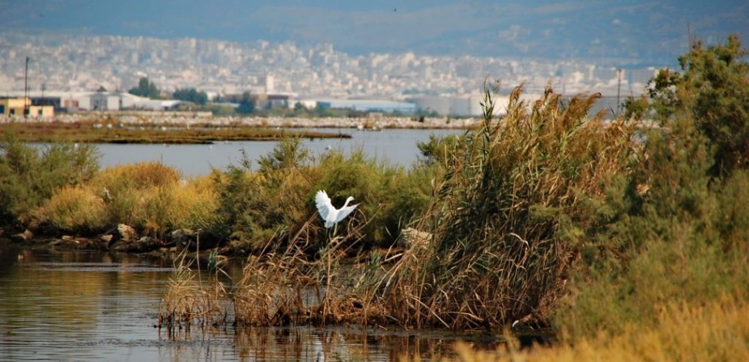 Ο χρόνος μετράει αντίστροφα για το Δέλτα Αξιού-Λήγει το καθεστώς προστασίας