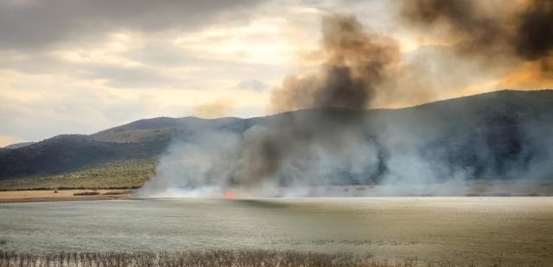 SOS από την Κομισιόν για το οικοσύστημα στη Βεγορίτιδα από την καύση καλαμιών