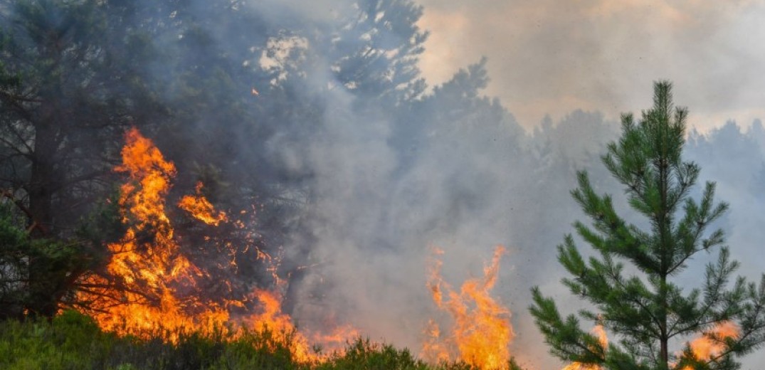 Πυροσβεστική: Στις 34 οι αγροτοδασικές πυρκαγιές το τελευταίο 24ωρο - Υπό έλεγχο η πυρκαγιά στην περιοχή Τριάδα Σερρών