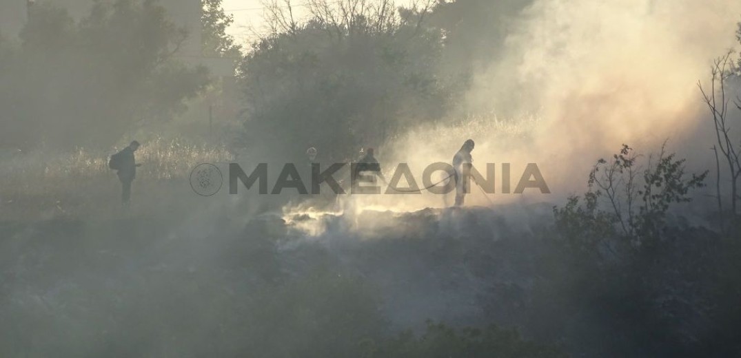 Υπό έλεγχο η πυρκαγιά στον δήμο Πυλαίας Χορτιάτη-Δεν κινδύνεψαν σπίτια (βίντεο & φωτ.)