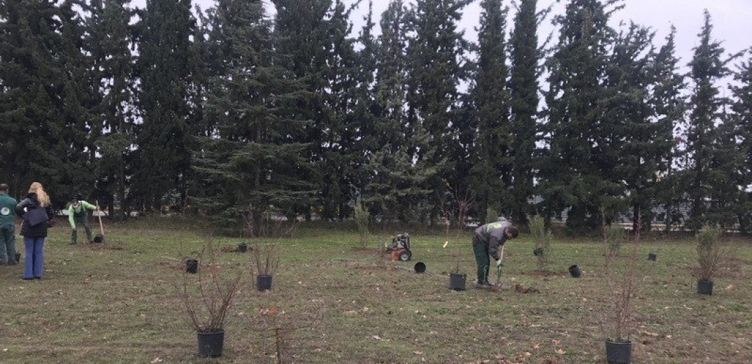 Επιμένει η περιφέρεια Αττικής για τα κλειστά πάρκα εν μέσω καύσωνα: Είναι για την προστασία των πολιτών