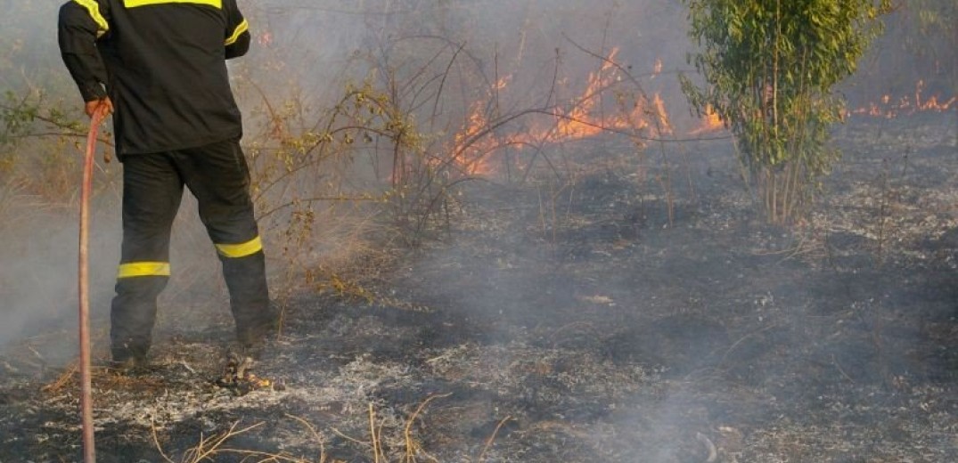 Χαλκιδική: Κινητοποίηση της πυροσβεστικής για φωτιά σε ξηρά χόρτα στη Νέα Ηράκλεια