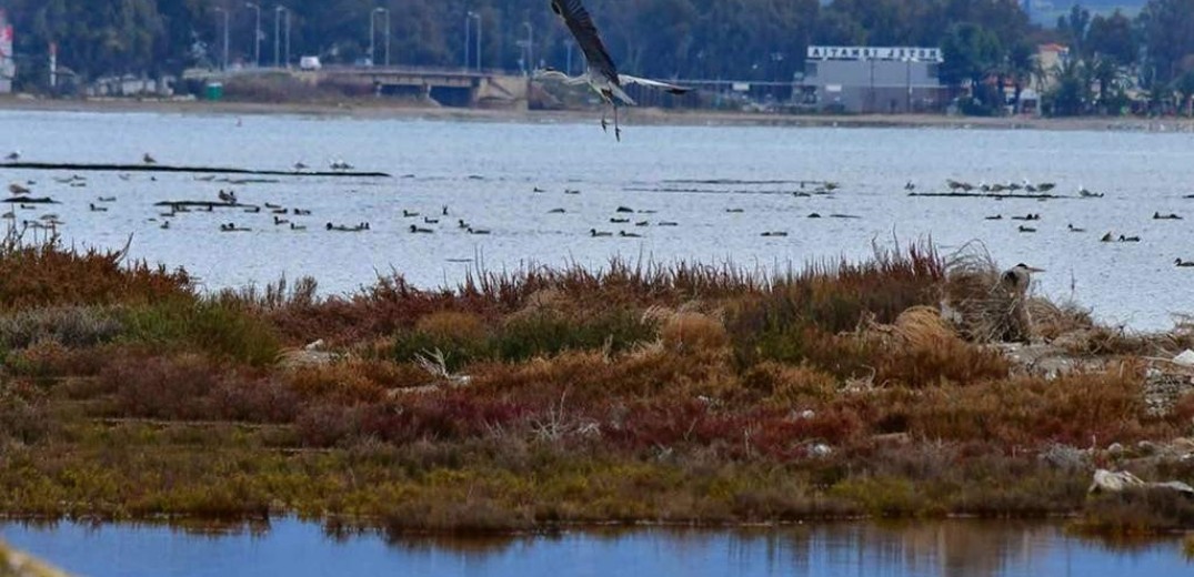 ΤτΕ:  Άνοδο της θερμοκρασίας, μείωση βροχοπτώσεων και ενίσχυση της ξηρασίας προβλέπεται για τις επόμενες δεκαετίες στην Ελλάδα