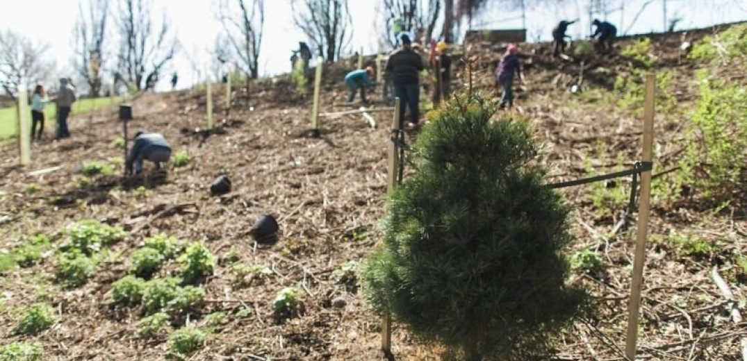 Θεσσαλονίκη: Πάνω από 700 δέντρα θα φυτευτούν από Σεπτέμβριο στο Σέιχ Σου