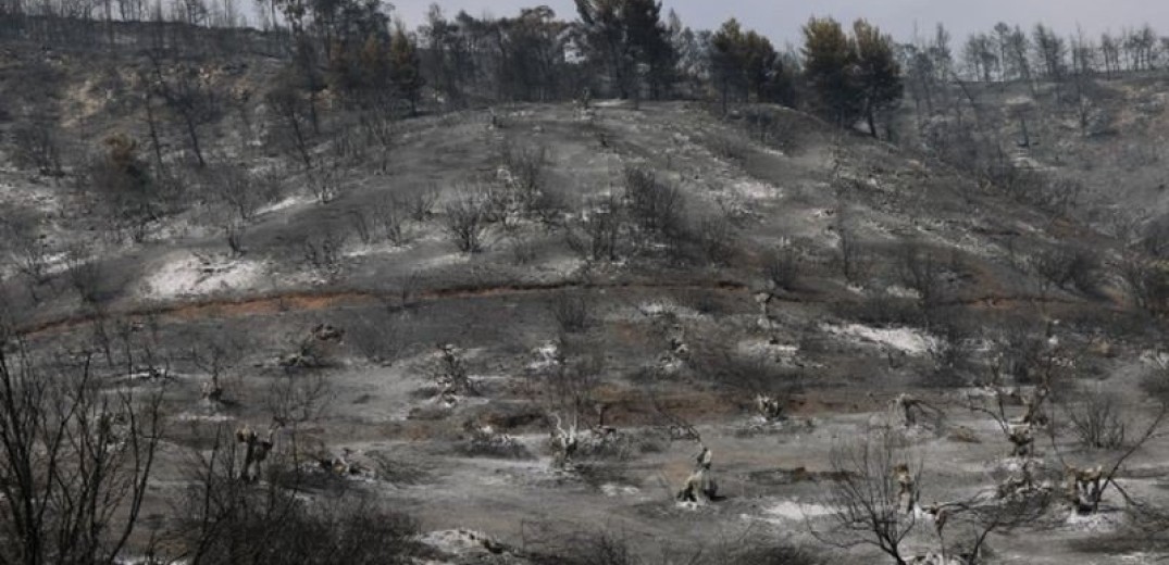 Πιέρια Όρη: Καλύτερη εικόνα στο πύρινο μέτωπο - Τι λέει ο δασάρχης Πιερίας (βίντεο)