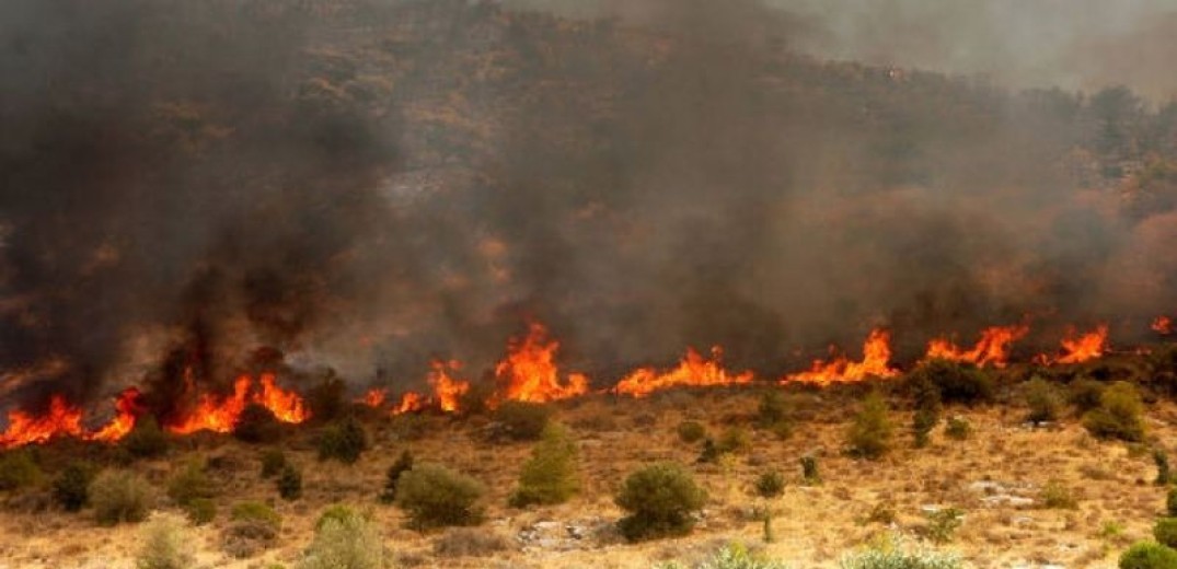 Στον εισαγγελέα ο 87χρονος που συνελήφθη να βάζει φωτιά στον Άγιο Στέφανο: Tι ισχυρίστηκε