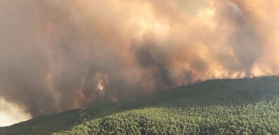 Υπό μερικό έλεγχο η φωτιά στον Ασπρόπυργο - Καίει χαμηλή βλάστηση